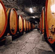 pag_visitedeg_botte.gif (16815 byte)